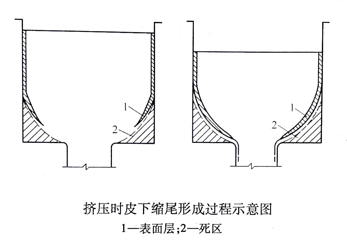 皮下缩尾
